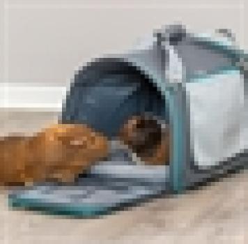 Reisetasche Vicky mit herausnehmbaren Kissen Grau Trixie